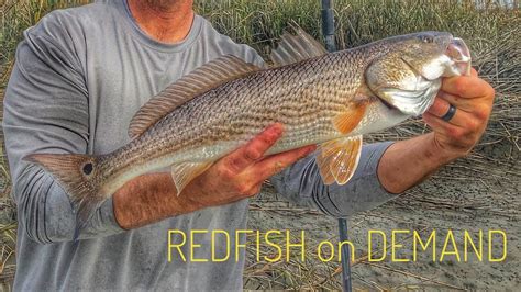 The Easiest Way To Catch RedFish Savannah Ga YouTube