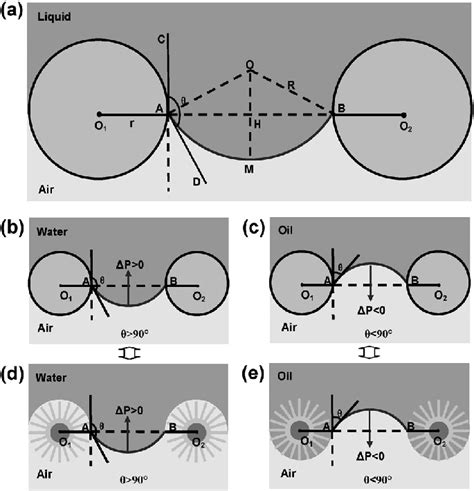 Schematic Diagrams Of The Liquid Wetting Model Of The As Prepared