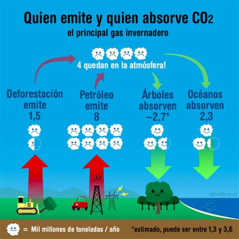 ¿quién Emite Y Quién Absorbe Co2 Aire Libre Educación Ambiental