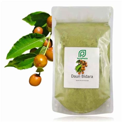 Jual Bubuk Daun Bidara G Serbuk Widoro Arab Widara Sidr Asli