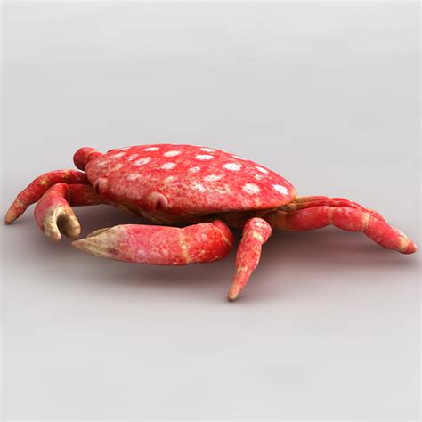 3dsmax strawberry crab