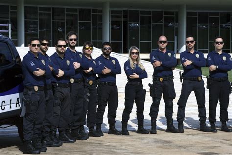 Policia Federal Em Cascavel - Como entrar para Polícia Federal: Aprenda o passo a passo para entrar ...
