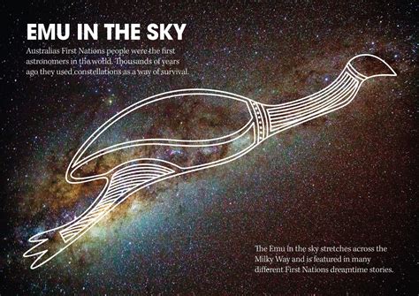 Straight on the wall – posters you'll want to keep - Australian Geographic