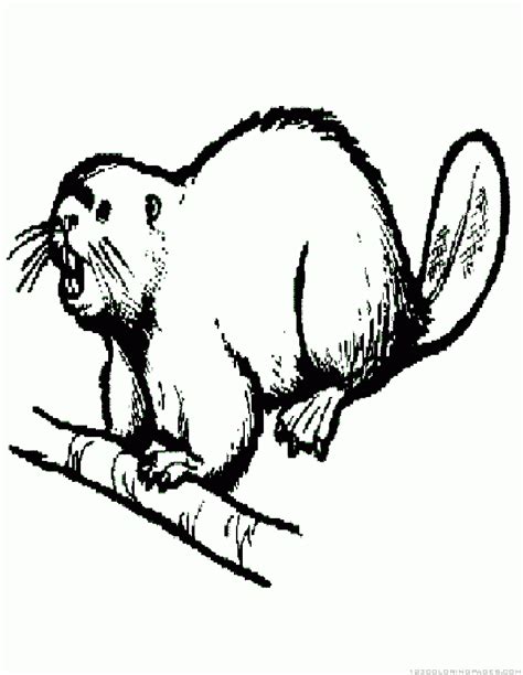 Beaver Coloring Pages - Part 4