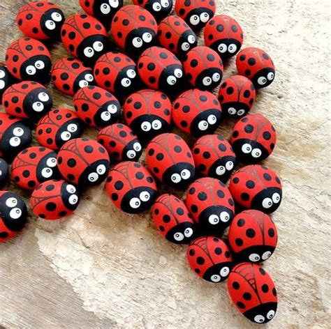 Many Red And Black Ladybugs Are Arranged On A Rock