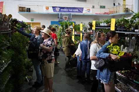 T Umy Na Festiwalu Ro Lin W Hali Widowiskowo Sportowej Przy Ulicy