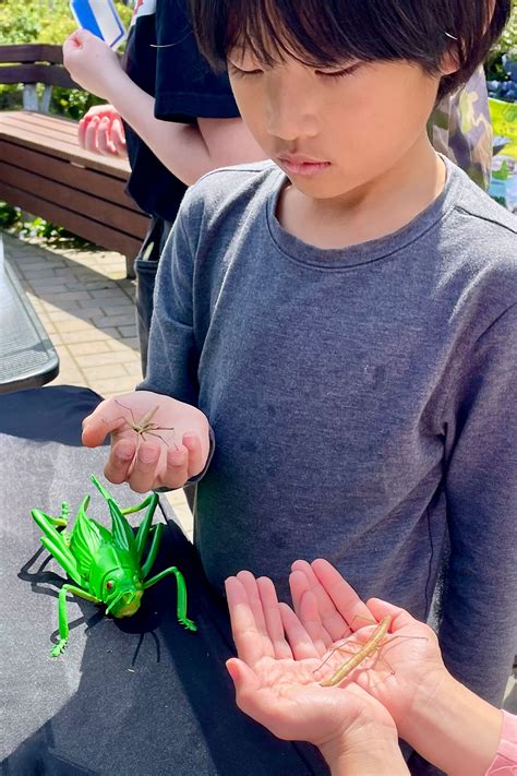 Bug Day | Randall Museum