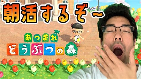 【あつ森】朝活モーニングルーティン【pさん】 Youtube