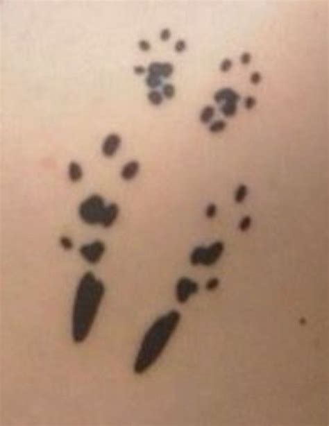 Chinchilla Paw Prints Paw Print Chinchilla Paw