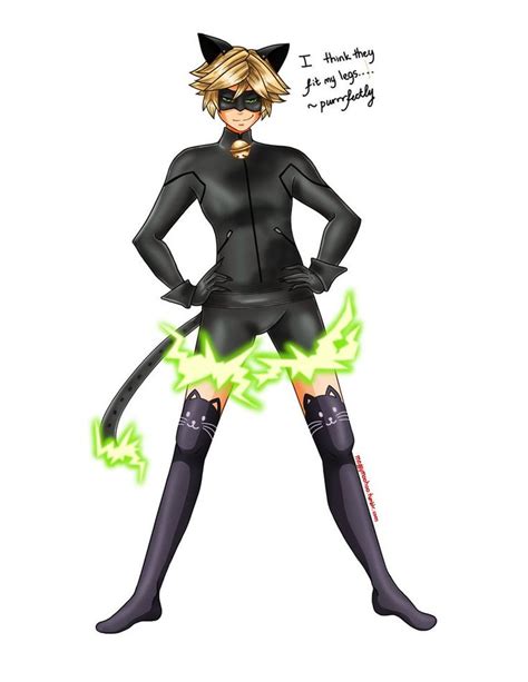 Chat Noir What Are Those Chat Noir Noir Miraculous Ladybug