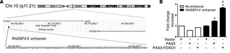 Jci Alveolar Rhabdomyosarcomaassociated Pax3 Foxo1 Promotes