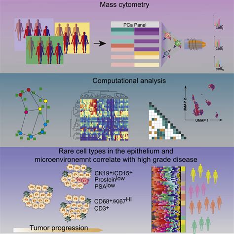 Single Cell Proteomics Defines The Cellular Heterogeneity Of Localized