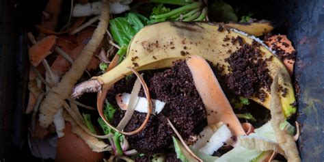 The Science Of Composting A Guide To Different Types Of Composting