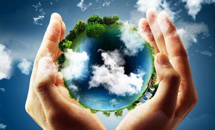 Holistic Health Business | Anarres Natural Health
