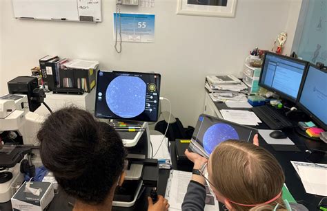 AI-Based Visual Inspection Case Study | softengi.com