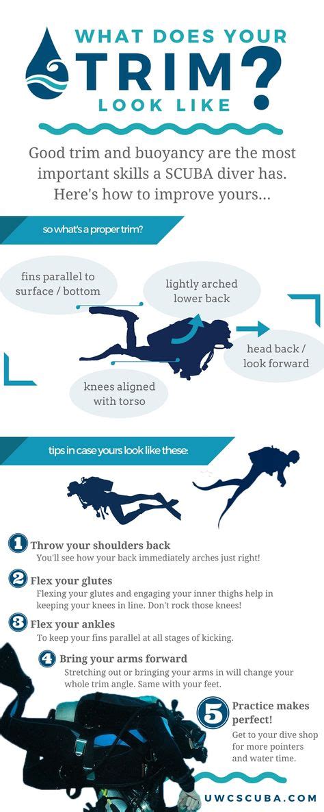 15 Scuba Tips And Tricks Ideas Scuba Diving Scuba Diving