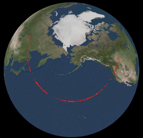 Asteroid 2018 VP1 – So Close, Yet So Far Away by Allan Posner - B612