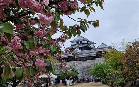 5 Luoghi Da Non Perdere A Matsuyama Eroica