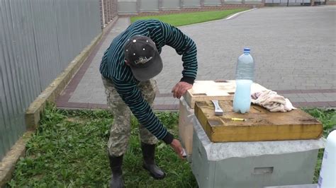 Падёж пчелы от Скабатокса ??? 6.10.2020 - YouTube