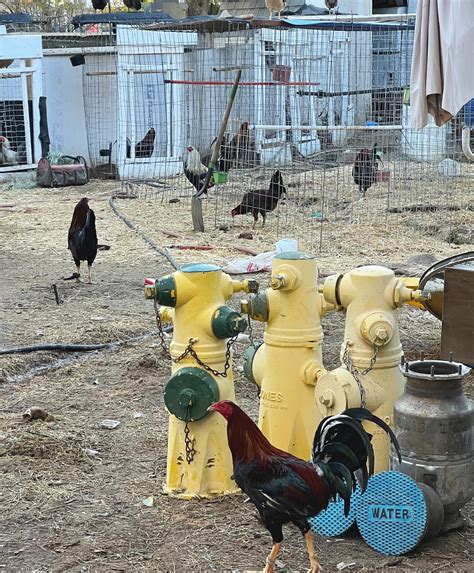 Jurupa Valley Sheriff's Station | Jurupa Valley CA