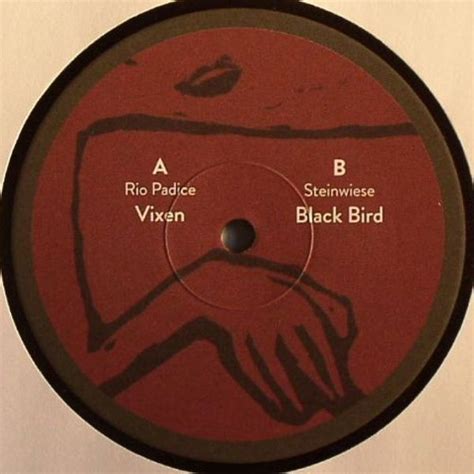 Rio Padice Steinwiese Vixen Black Bird Discogs