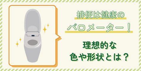 排便は健康のバロメーター！理想的な色や形状とは？ 産業保健新聞｜ドクタートラスト運営