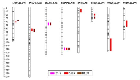 Qtl Positions On The Genetic Map Qtl Are Positioned At The Right