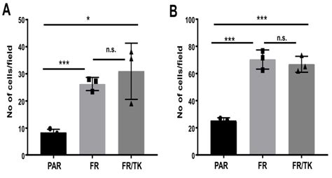 Motility Of PAR FR And FR TK Cells In Vitro A Migration Assay Of