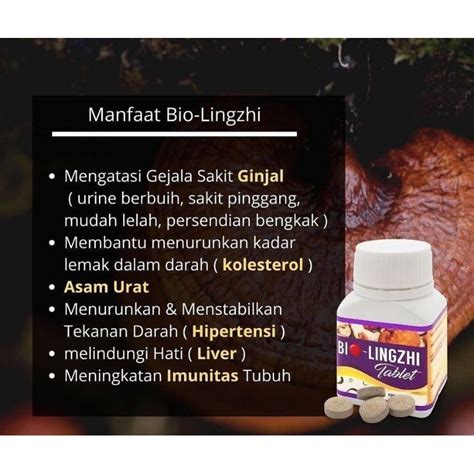 Jual Biolingzhi Original Bio Ling Zhi Obat Untuk Kesehatan Ginjal