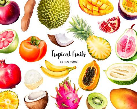 Watercolor Tropical Fruit Clipart Exotic Fruits Clipart Png Summer