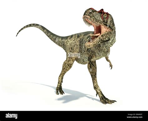 Albertosaurus Dinosaurio Foto Realistas Y Científicamente Correcta Representación Postura