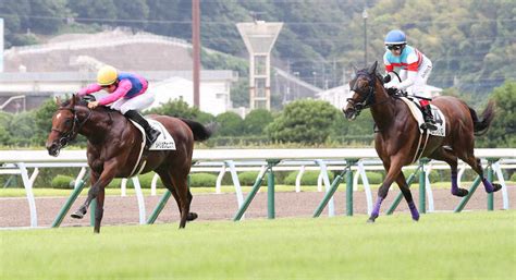 【小倉新馬戦】メイショウヒュウガ 差し切ってv、松山「いい脚使った」― スポニチ Sponichi Annex ギャンブル