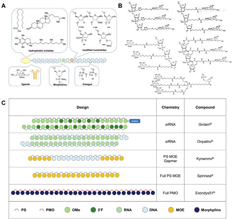 Biosafety Assessment Of Delivery Systems For Clinical Nucleic Acid