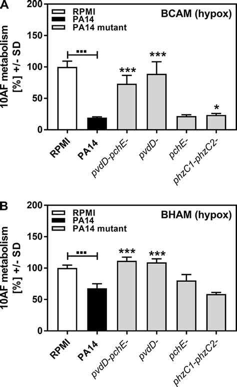 Effects Of Pcf On A Fumigatus Strain Af Forming And Preformed