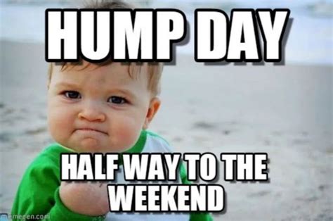 59 Happy Hump Day Memes