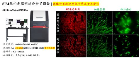 门户首页