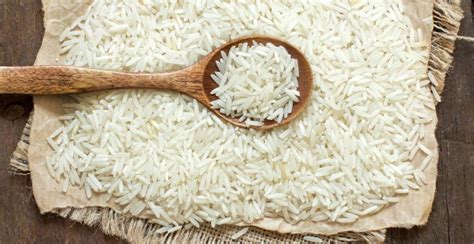 Arroz Agromensal Fevereiro An Lise Conjuntural Cepea Esalq Usp