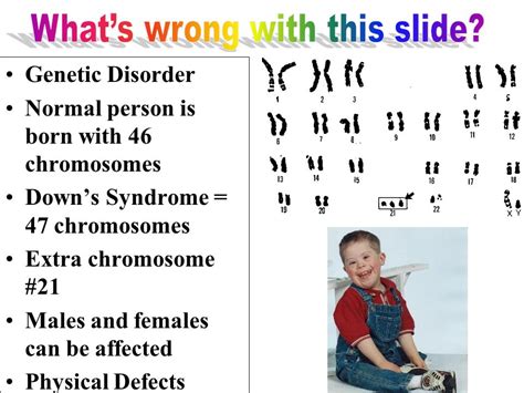 Power Point The Dos And Donts Downs Syndrome Downs Syndrome Is A Genetic Disorder In Which