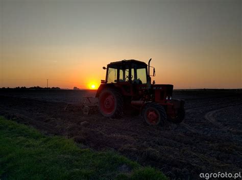 Obraz ciągnik MTZ 82 i kultywator id:787927 - Galeria rolnicza agrofoto