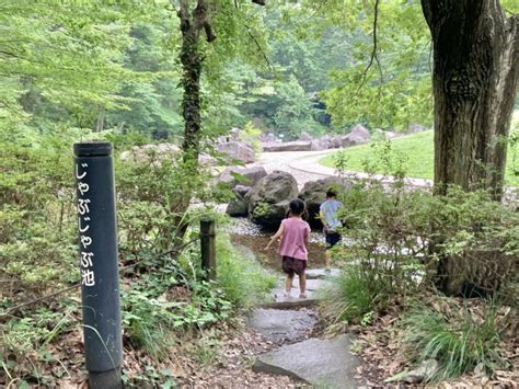 四季の森公園：夏はじゃぶじゃぶ池で水遊び！ジャンボすべり台や遊具もあり、ホタルも見られる自然豊かな広い公園に行ってきました！ホタルの季節は ...