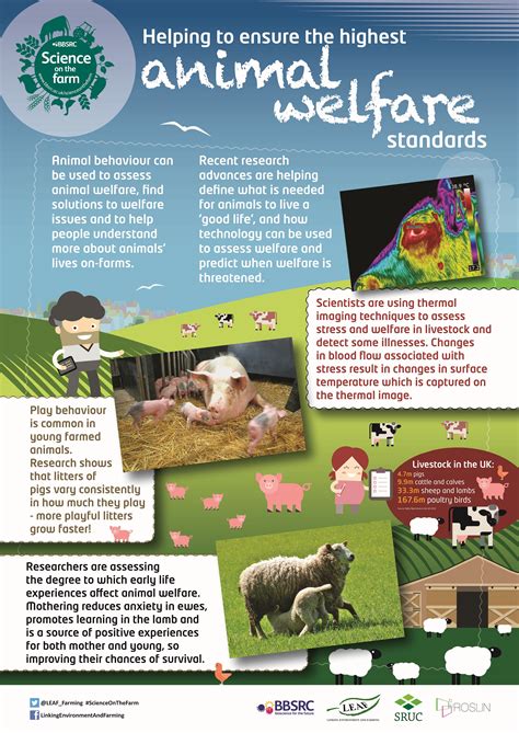 Bbsrc Science On The Farm Poster Animal Welfare Teaching Resources