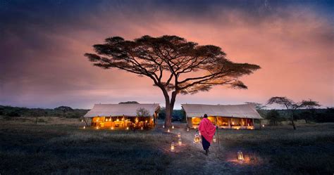 Download Serengeti National Park Village Lights Wallpaper