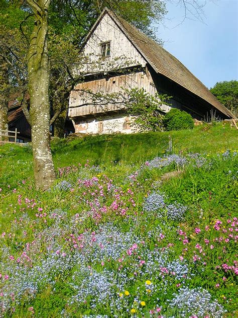 Bauernhofurlaub Zu Jeder Jahreszeit Im Schwarzwald Hanselehof