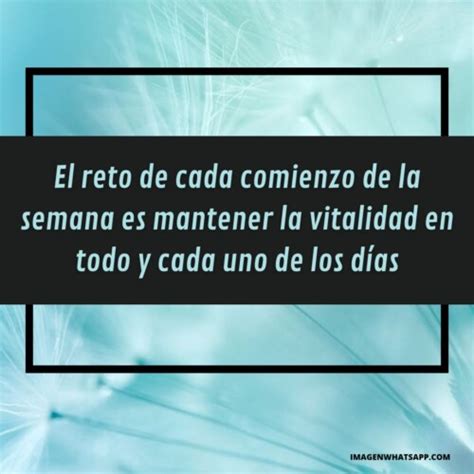 Buen inicio de semana Frases para comenzar bien la semana Imágenes