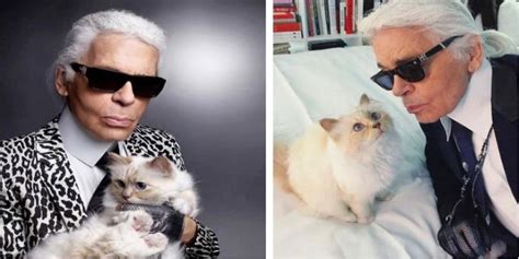 Ein 200-Millionen-Dollar-Erbe: wie Karl Lagerfelds Katze jetzt lebt