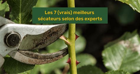 Les Vrais Meilleurs S Cateurs En Selon Des Experts