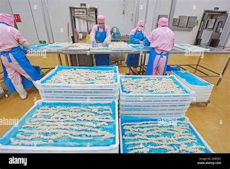 China Chicken Processing Plant Hi Res Stock Photography And Images Alamy