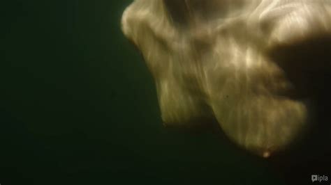 Nude Video Celebs Aleksandra Poplawska Nude Pola Blasik Nude Nel Kaczmarek Nude Wyzwanie