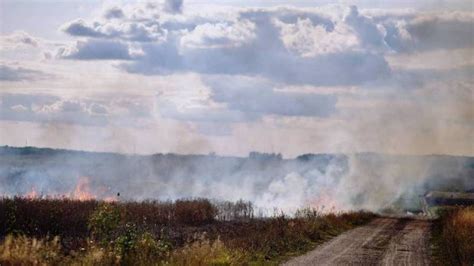 Ukraińskie zboże trawione pożarami Rosjanie bombardują uprawy