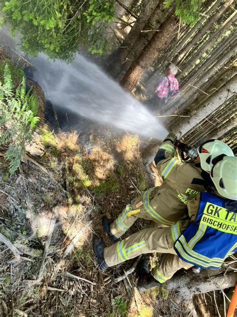 Vegetationsbrand Freiwillige Feuerwehr Bischofshofen